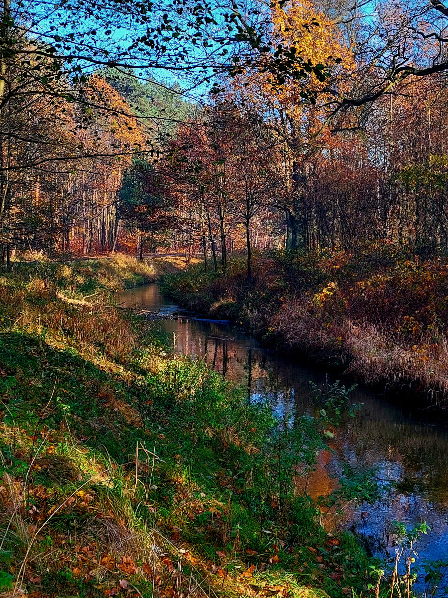 20251106_100135.jpg