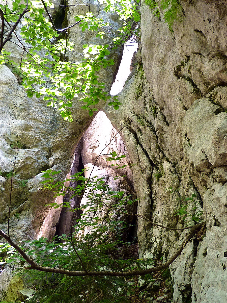 P1530003.JPG