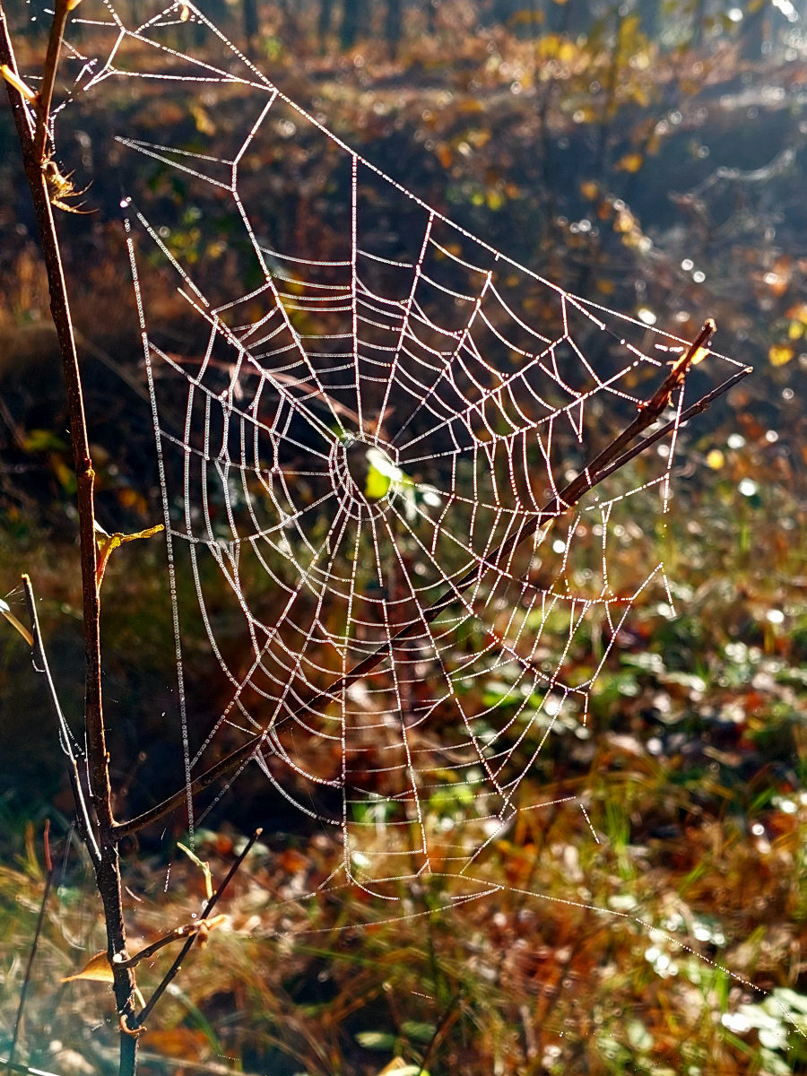 20251106_100256.jpg