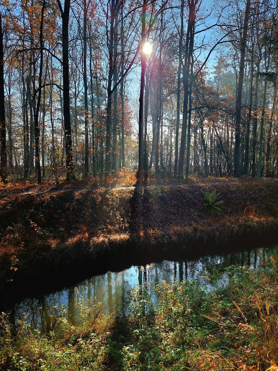20251106_100410.jpg