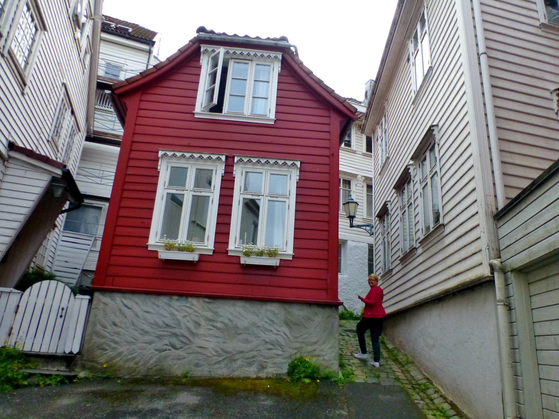 N02.jpg