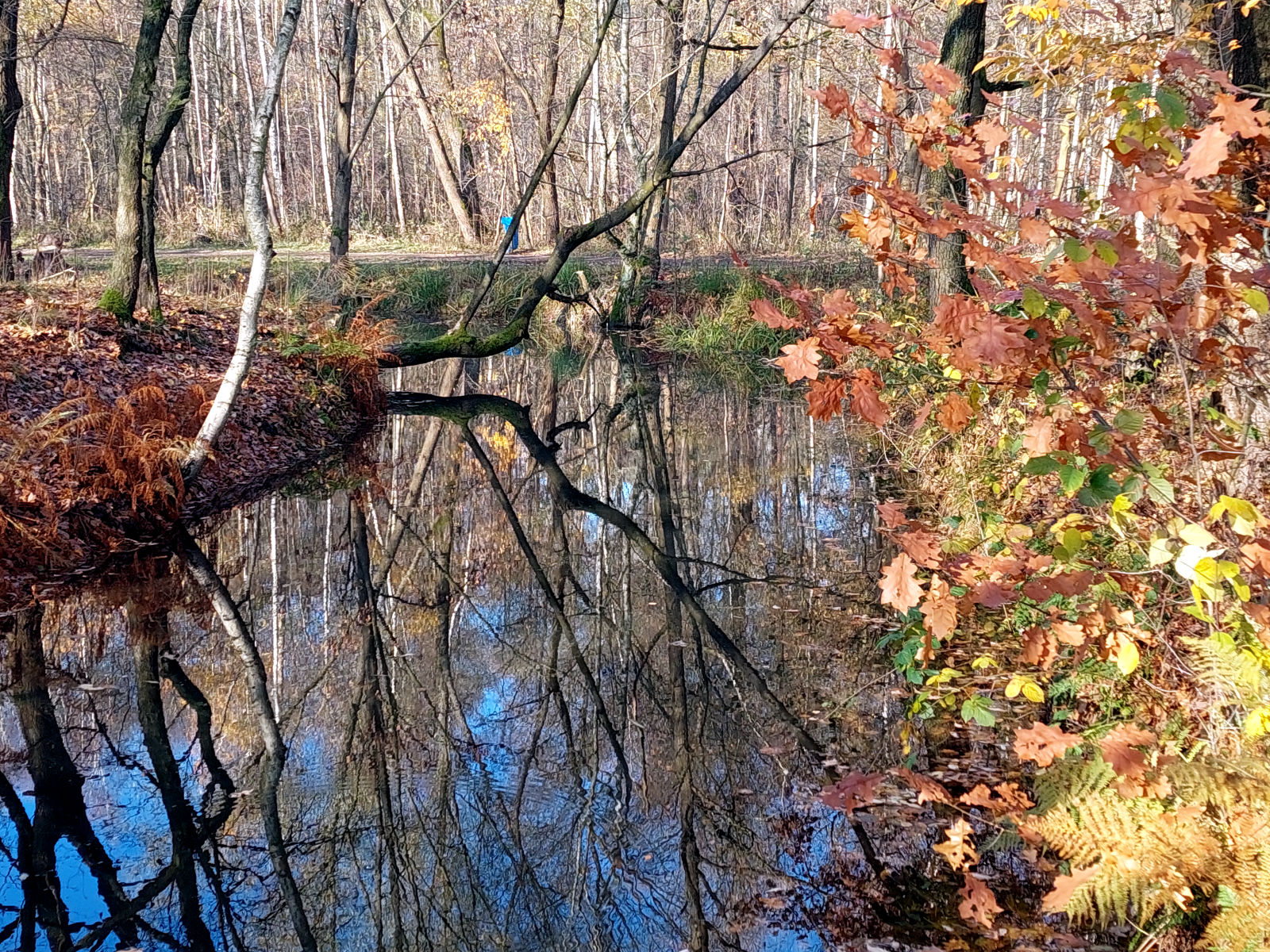 20251106_101755.jpg