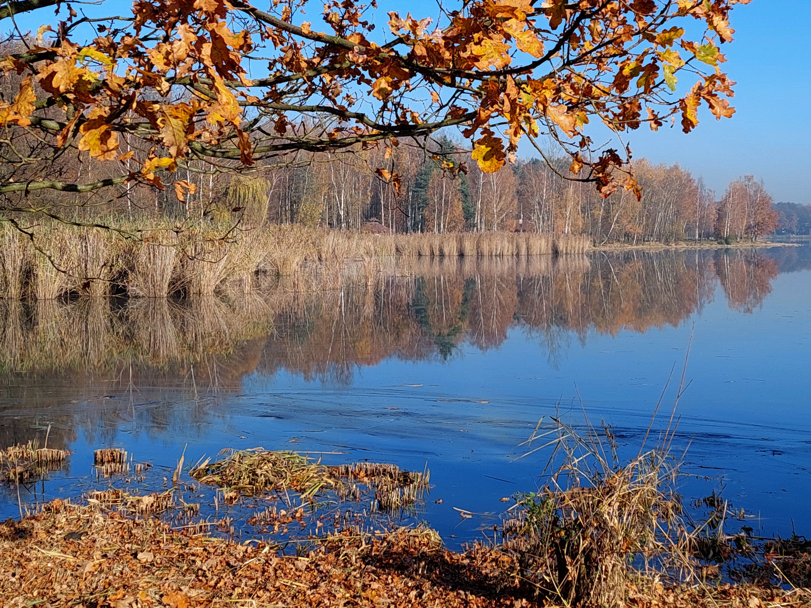 20251106_102145.jpg