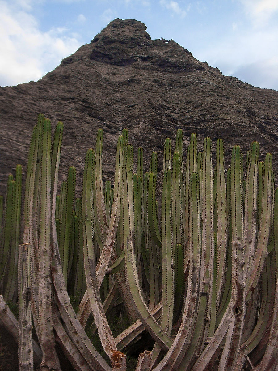 P24G0770.JPG