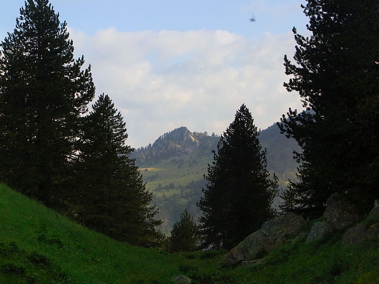 P21G1825.JPG