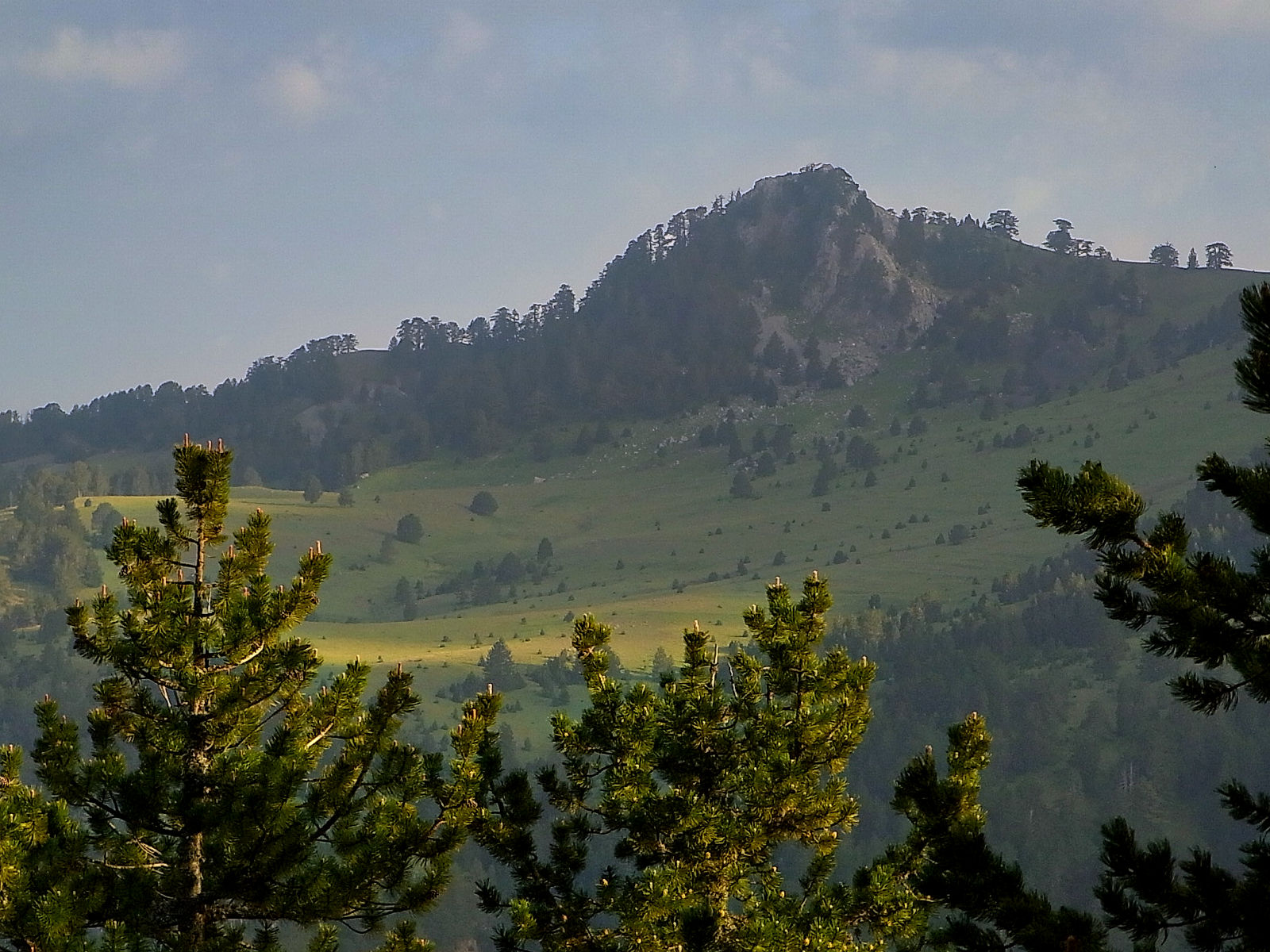P21G1830.JPG