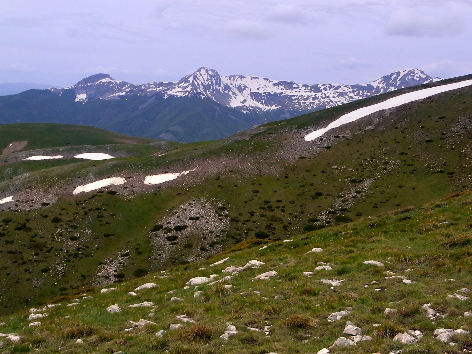 RIMG1694.JPG