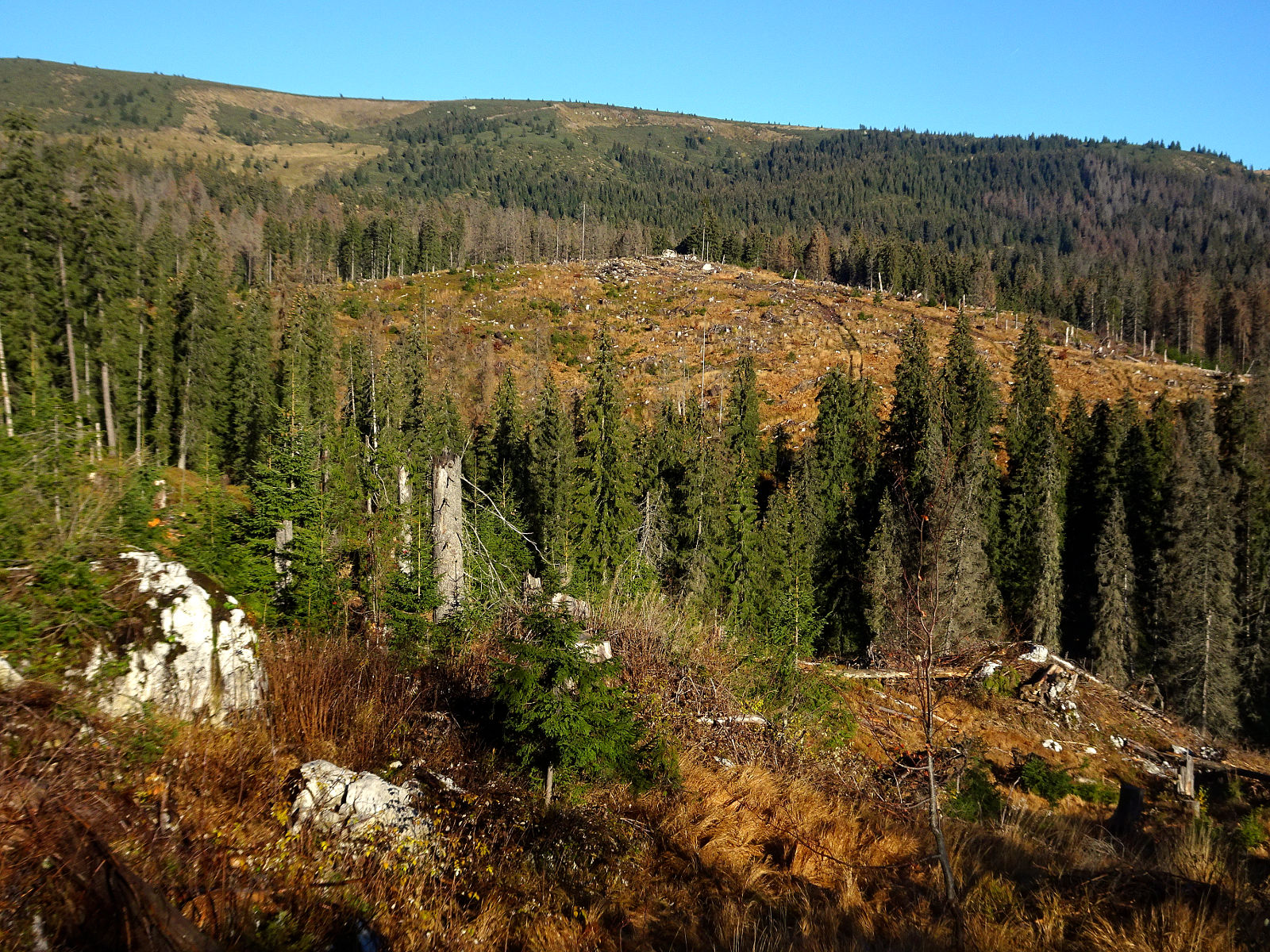 DSC00987.JPG