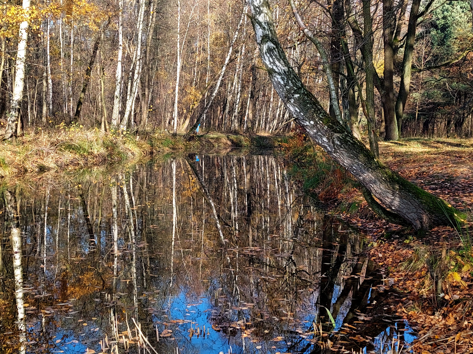 20251106_102635.jpg
