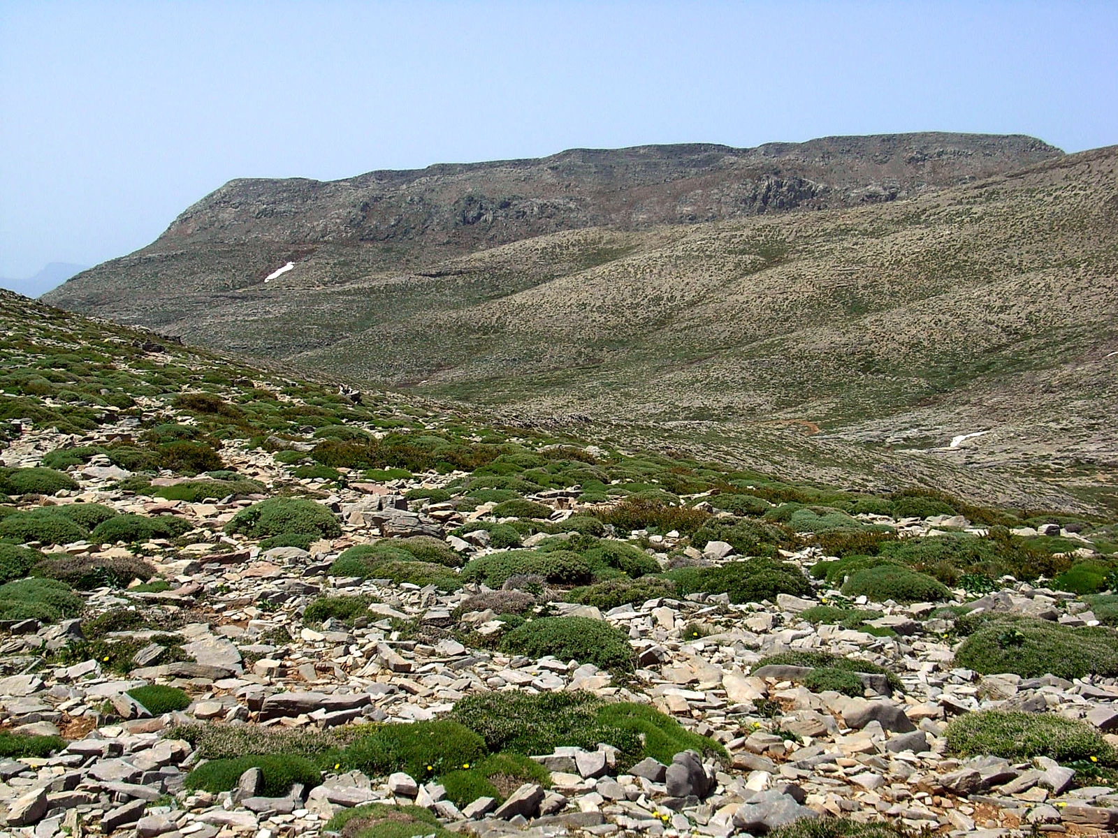 P5020073.JPG
