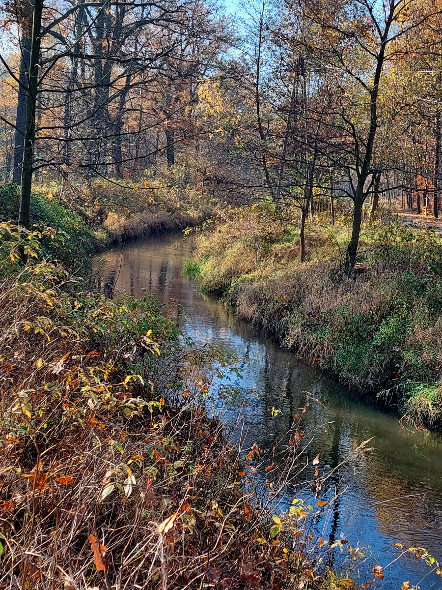 20251106_104841.jpg