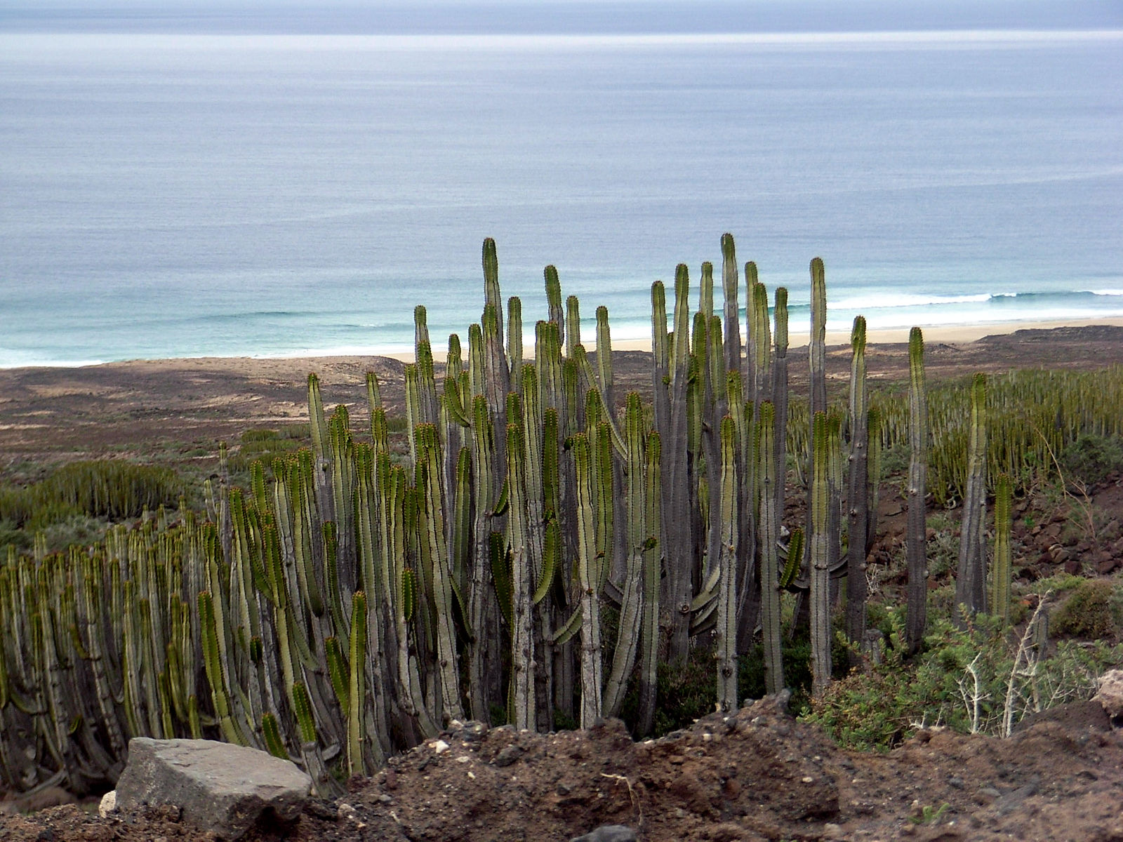 P24G0771.JPG