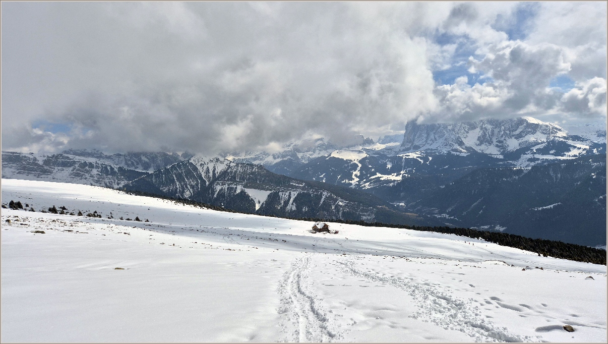 53-20260316_123724.jpg