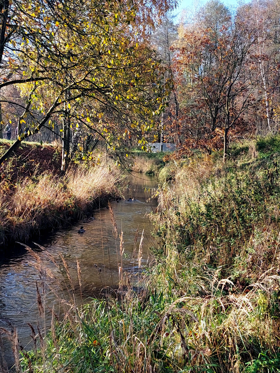 20251106_105511.jpg