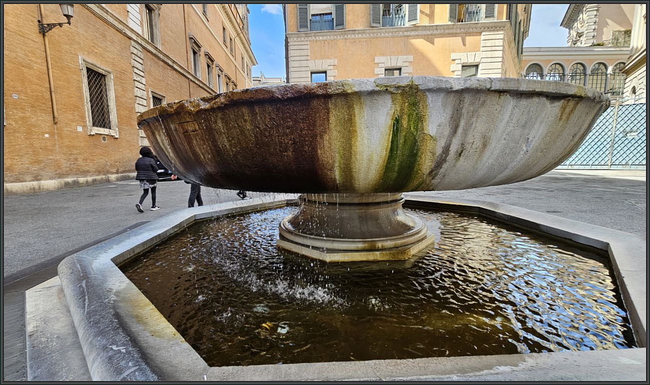 20260318_112425.jpg