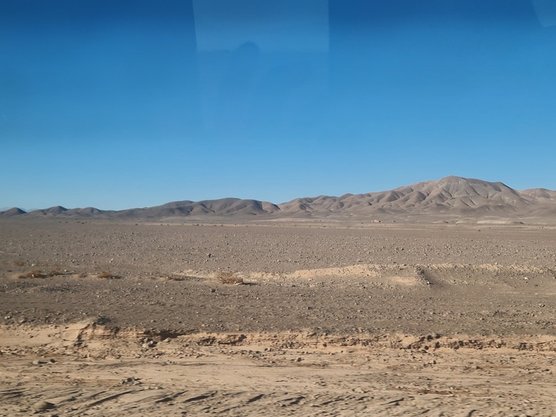 20260312_091214 (Kopiowanie).jpg
