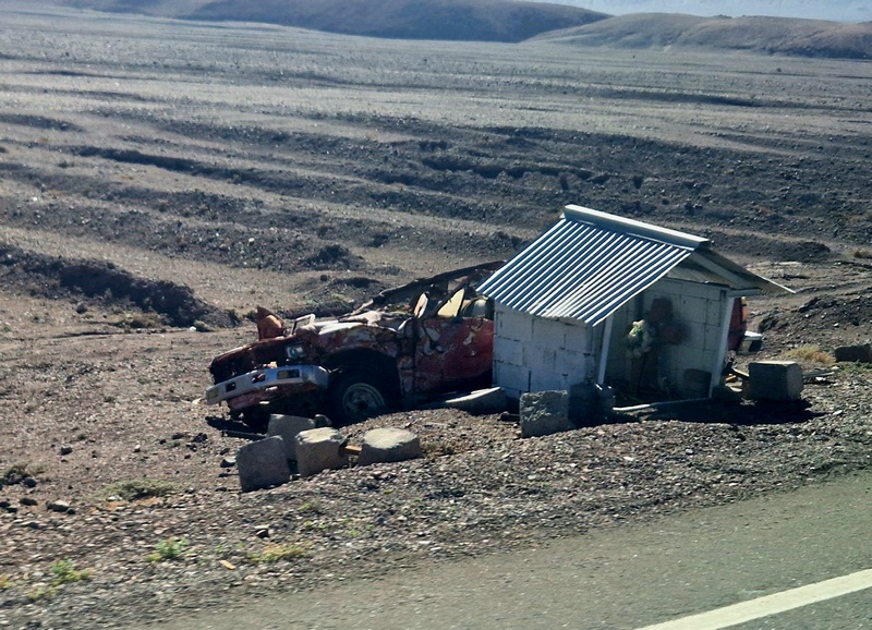 20260312_101142 (Kopiowanie).jpg