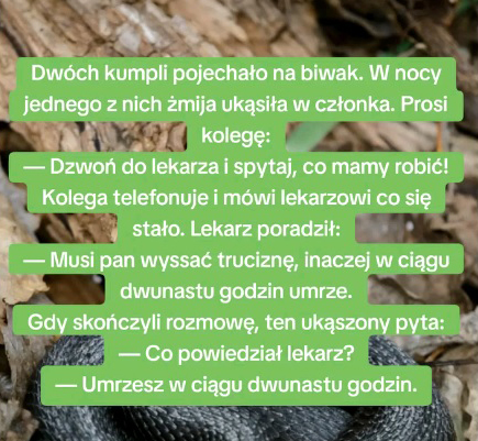 zmija.jpg