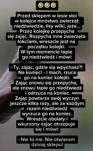 zajac.jpg