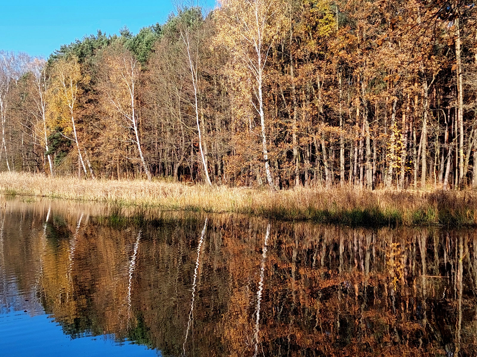 20251106_110141.jpg
