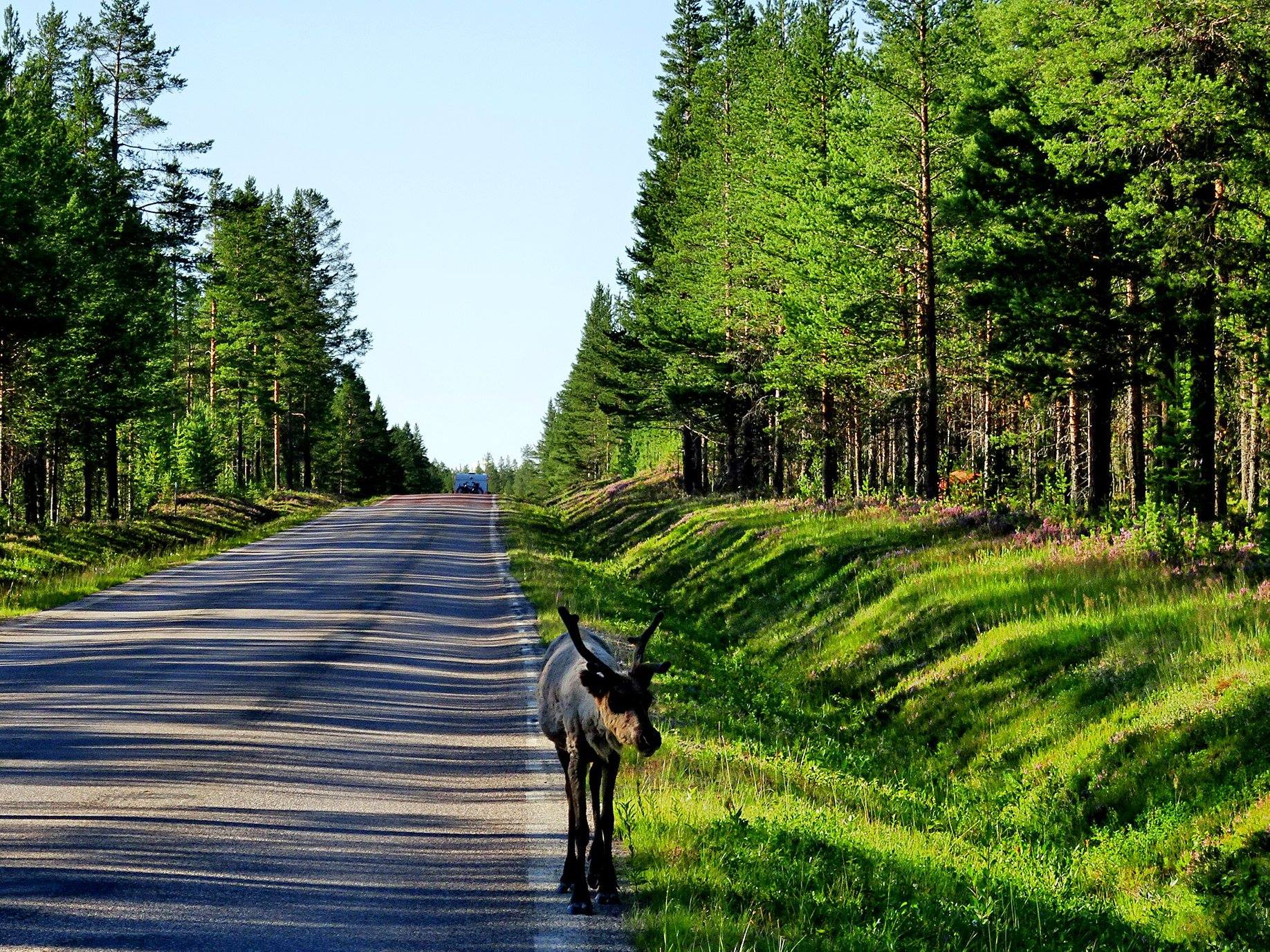 S06.jpg