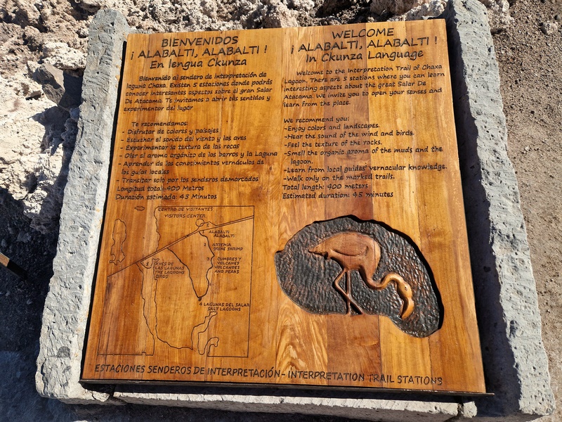 20260312_164218 (Kopiowanie).jpg