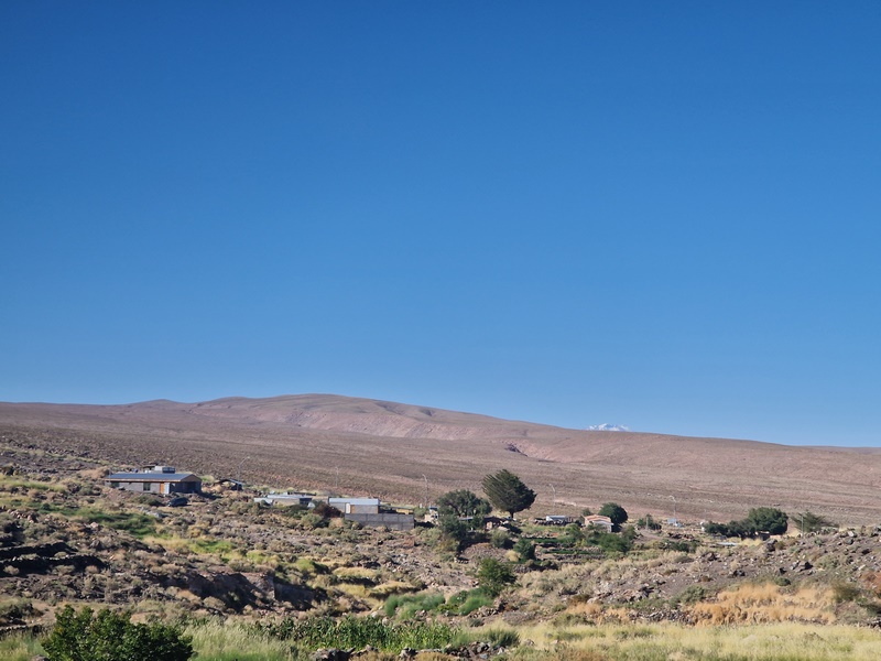 20260313_095500 (Kopiowanie).jpg
