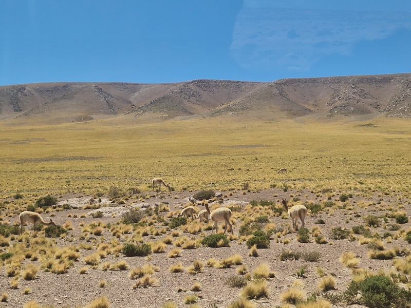 20260313_121249 (Kopiowanie).jpg