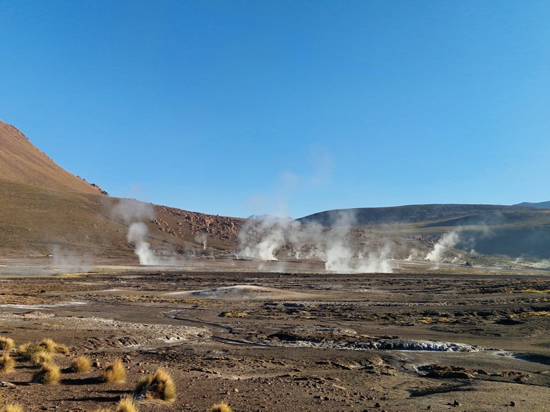 20260314_083945 (Kopiowanie).jpg