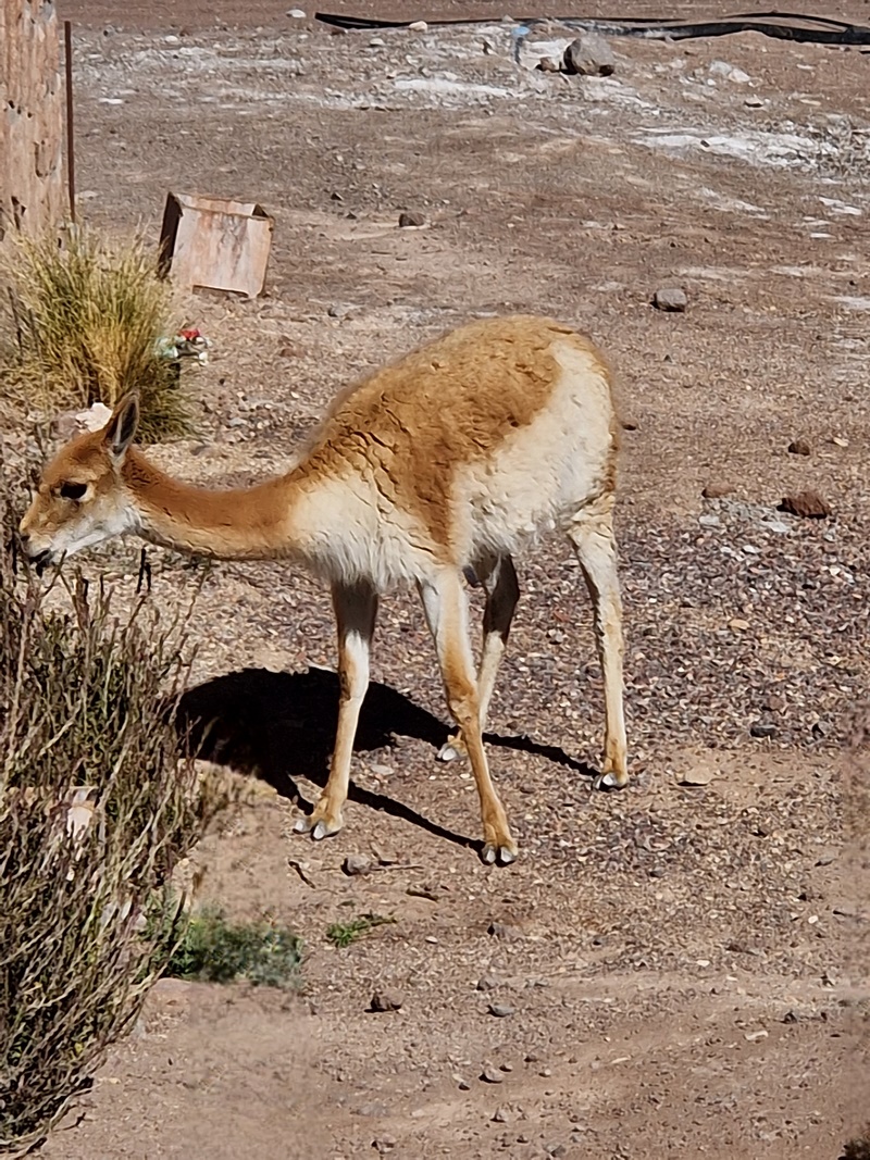20260314_101046 (Kopiowanie).jpg