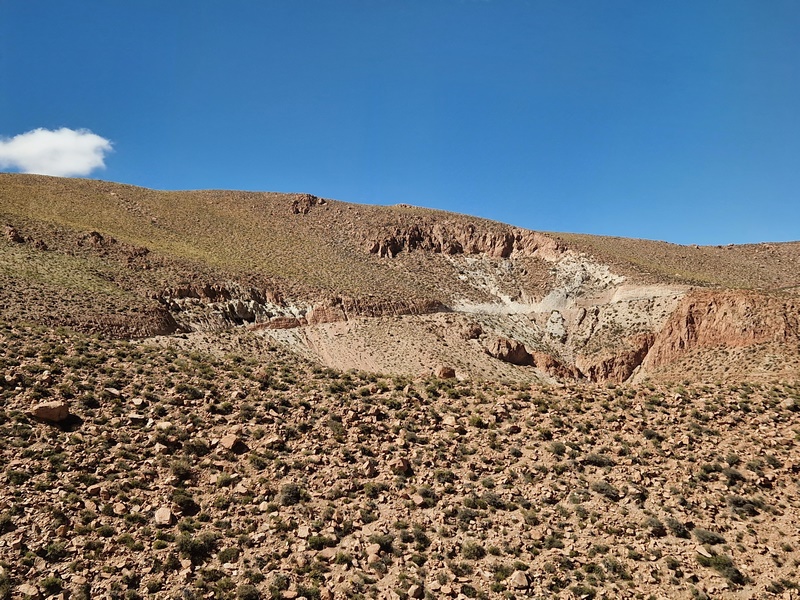20260314_114203 (Kopiowanie).jpg