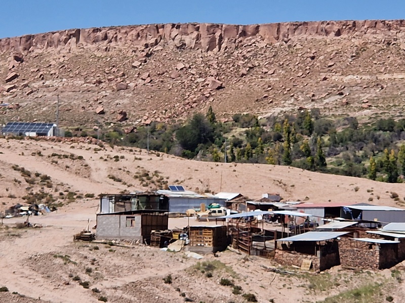 20260314_124433 (Kopiowanie).jpg