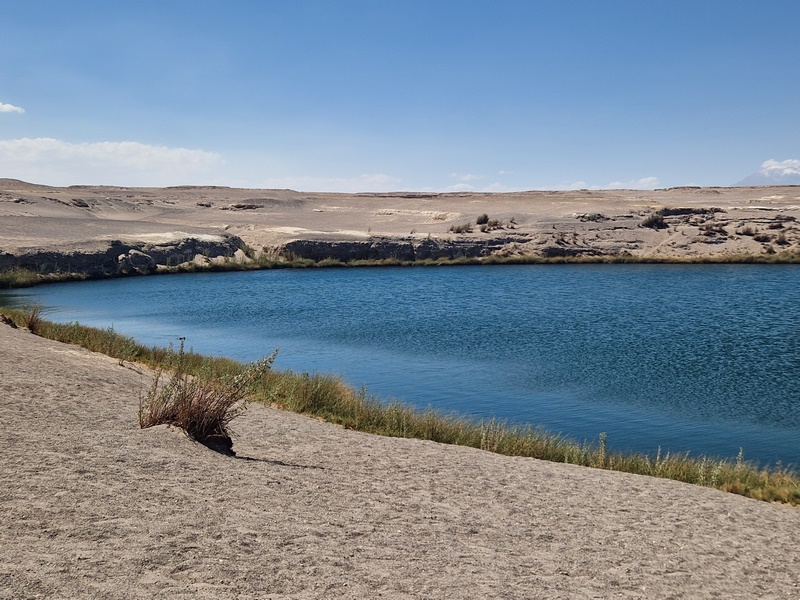 20260314_154220 (Kopiowanie).jpg