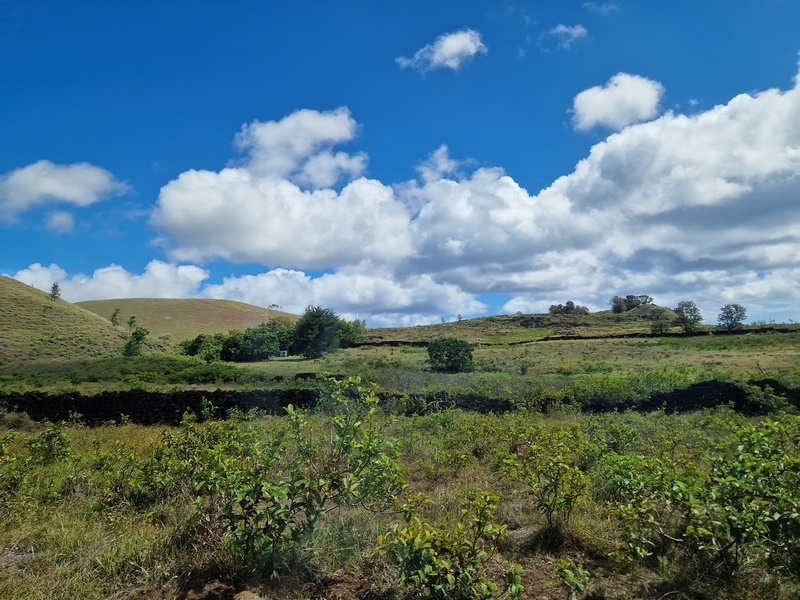 20260315_153701 (Kopiowanie).jpg