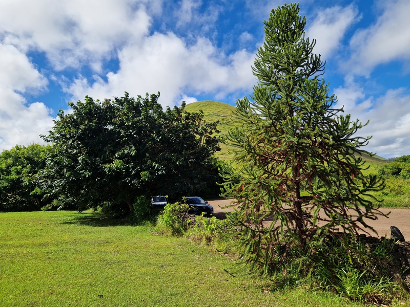 20260315_163248 (Kopiowanie).jpg