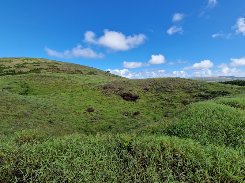 20260315_164657 (Kopiowanie).jpg