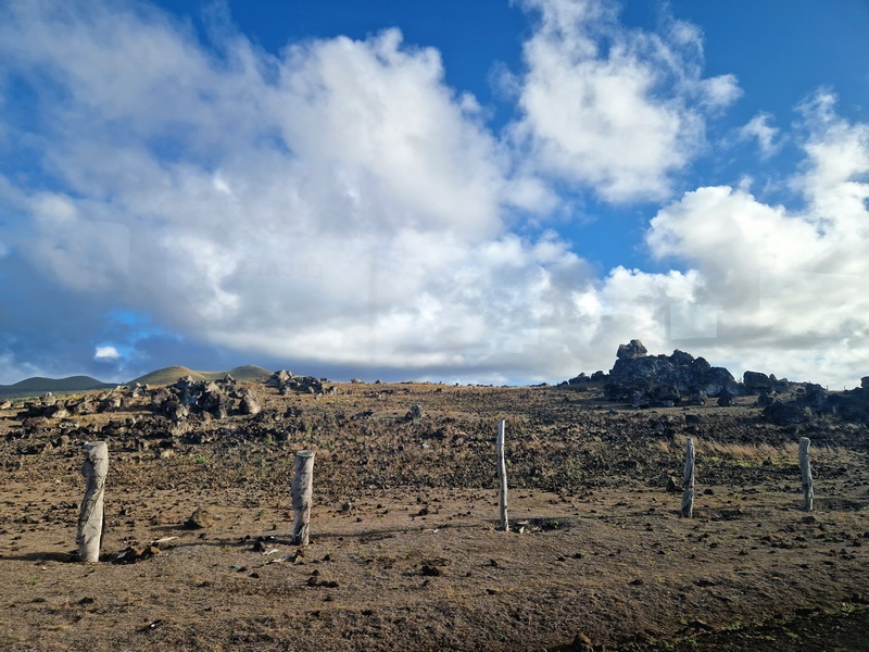 20260316_114423 (Kopiowanie).jpg