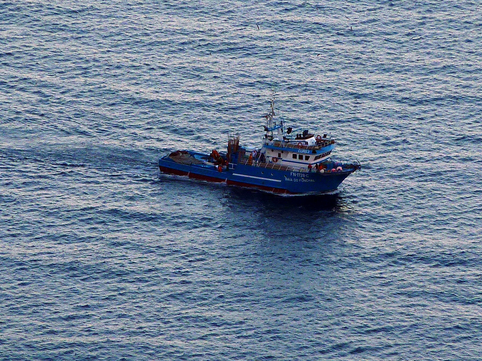 P2100246.JPG