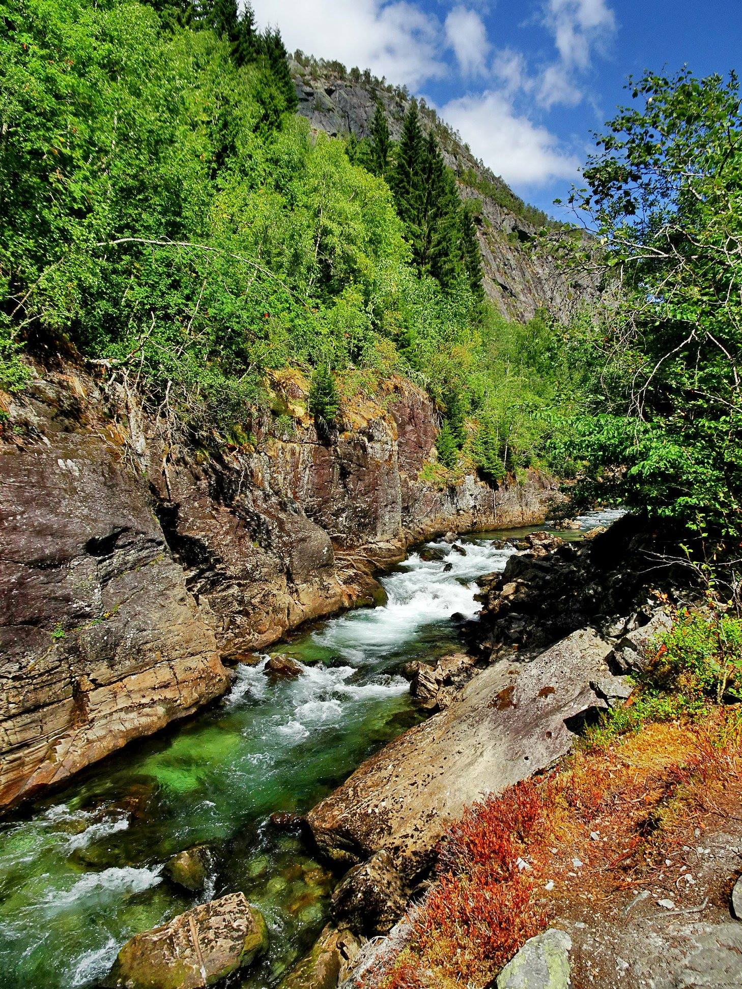 N06.jpg