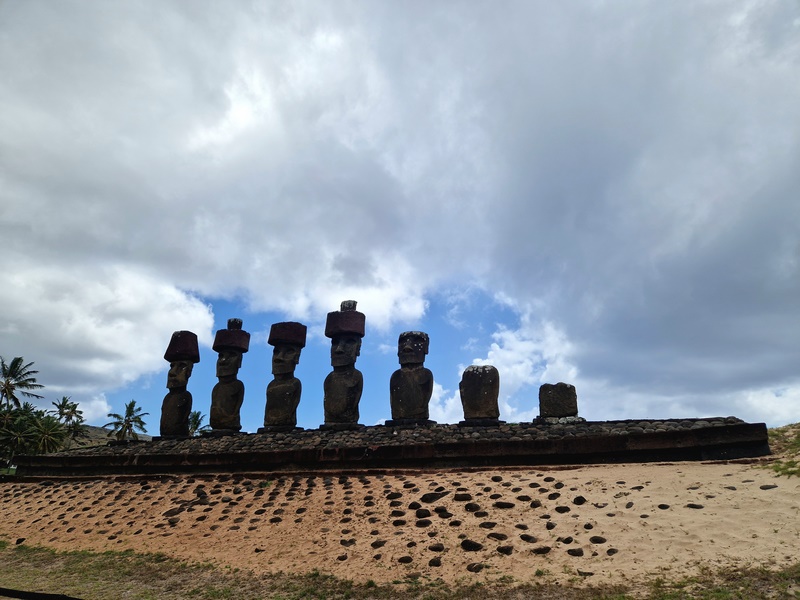 20260316_164853 (Kopiowanie).jpg