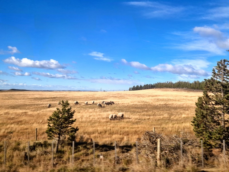 20260318_163614 (Kopiowanie).jpg