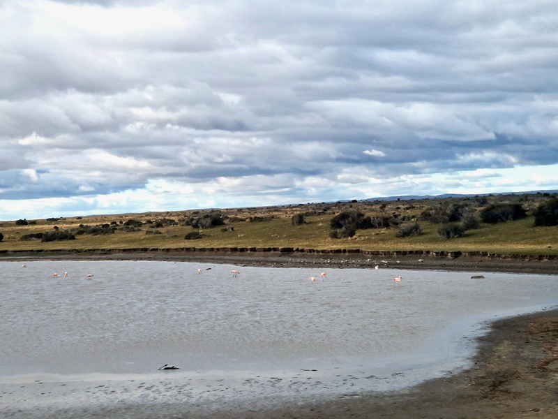 20260318_170815 (Kopiowanie).jpg