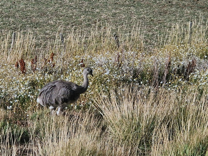 20260318_171442 (Kopiowanie).jpg