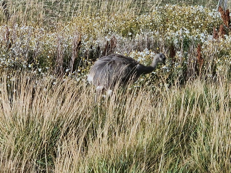 20260318_171446 (Kopiowanie).jpg