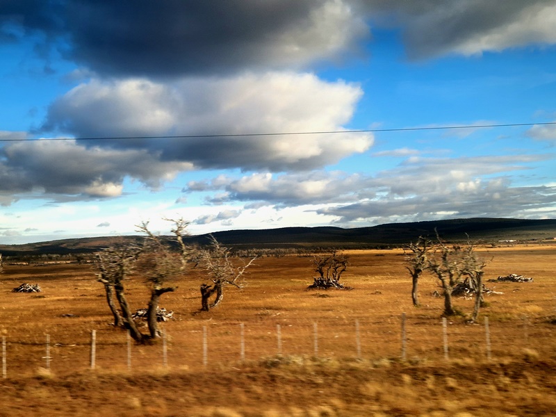 20260318_182112 (Kopiowanie).jpg