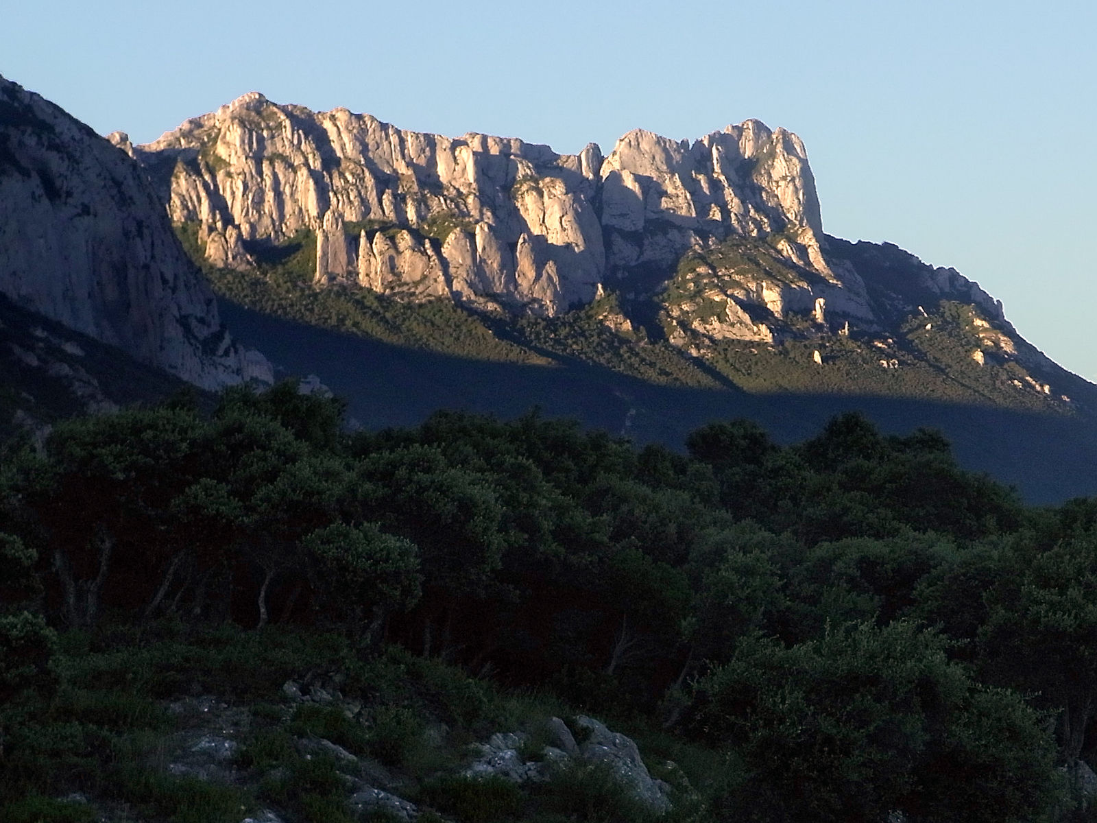 P06G2125.JPG