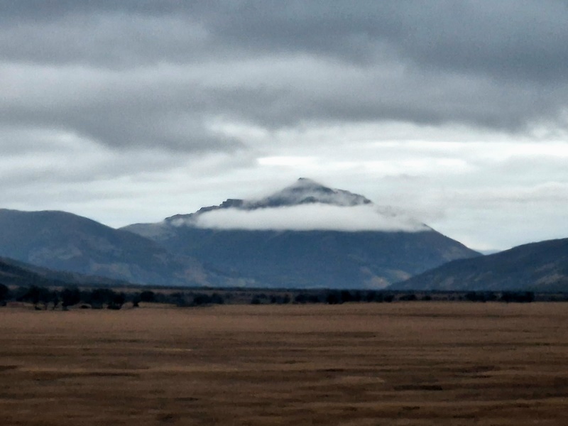 20260319_083323 (Kopiowanie).jpg
