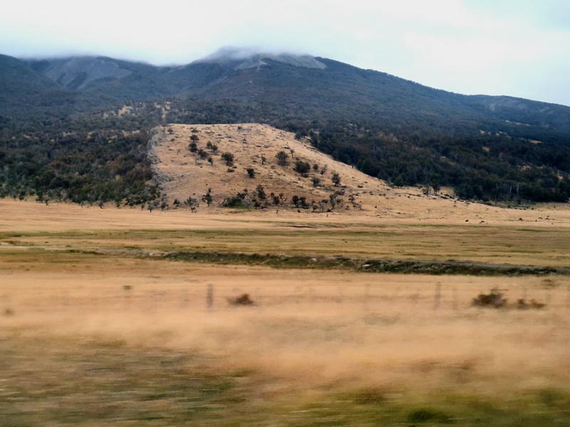 20260319_084534 (Kopiowanie).jpg