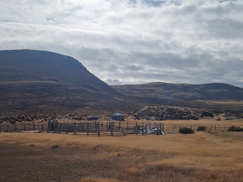 20260319_113010 (Kopiowanie).jpg