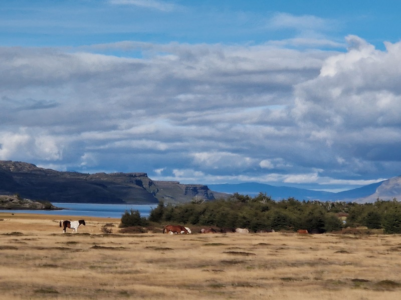 20260319_165457 (Kopiowanie).jpg